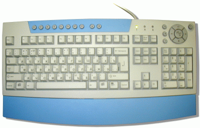 cyboard.gif (56524 bytes)